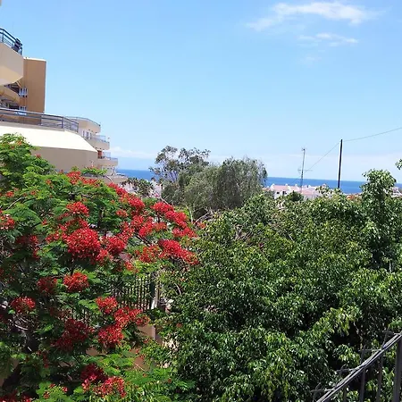 Apartment Complex Ocean Park Ii *